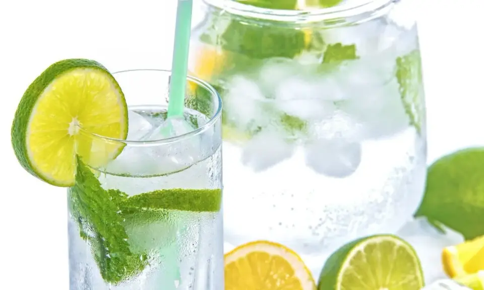 Erfrischendes Tonic Water stillen Durst mit Eis, Minze und Limette. Ein Glas und eine Karaffe voller Kühle.