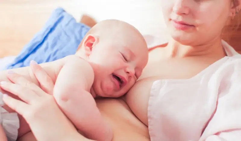 Ein Baby schreit beim Stillen, die Augen geschlossen, das Gesicht verzogen. Die Mutter hält es sanft.